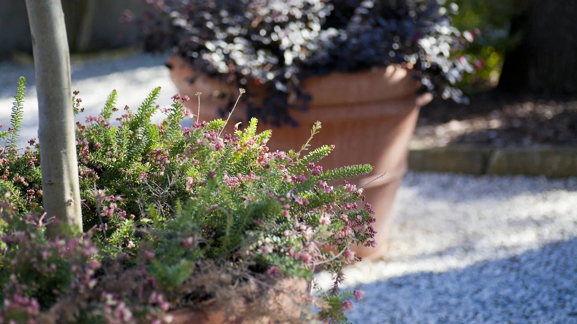 Aparthotel Relais Villa Belvedere Incisa in Val d'Arno